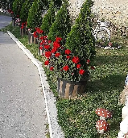 In 17854 * Supetarska Draga