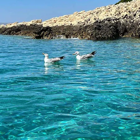 Appartement In 17854 Supetarska Draga